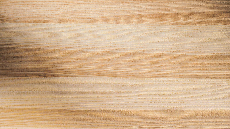 Bildquelle: JELD-WEN Türen GmbH